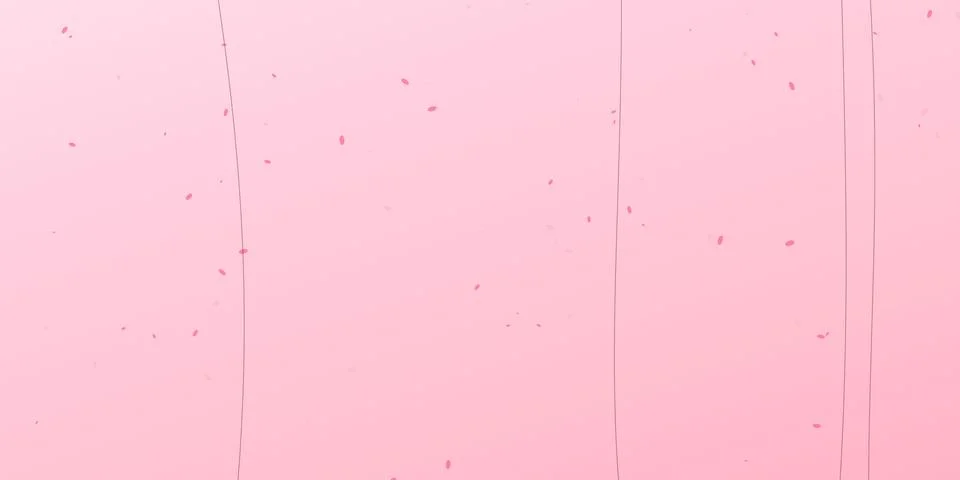 Soft pink background with falling cherry blossom petals Stock Illustration