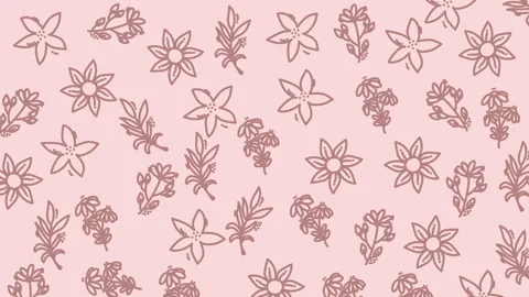 Soft pink background holds delicate floral outlines Stock Footage 333999124