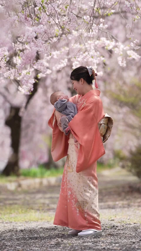 Soft pink blossoms frame a serene moment Stock Footage 341081207