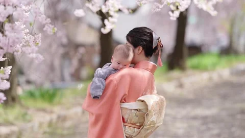 Soft pink blossoms frame a serene moment Stock-Footage 341532254