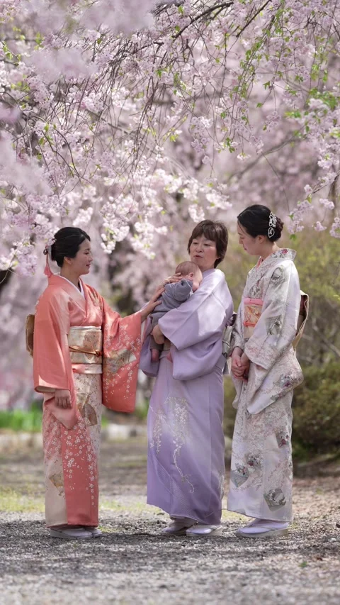 Soft pink blossoms frame three women in traditional robes Stock Footage 341082990