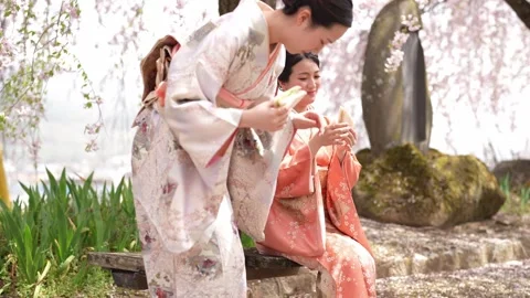 Soft pink blossoms frame a tranquil garden scene Stock-Footage 341531292