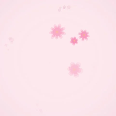 Soft Pink Cherry Blossoms Floating Gentle Breeze, Spring Floral Animation B.. Stock Footage 346283566