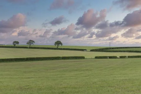 Soft pink clouds drift above rolling green fields Foto stock