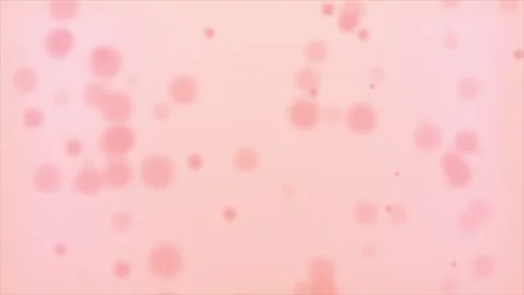 Soft Pink Floating Particles Stock Footage 312845383