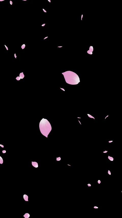 Soft Pink Flower Petals Falling and Drifting in the Wind - 3D rendering 스톡 동영상 332758716