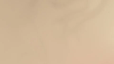 Soft pink gradient background with smooth transitions, showing a seamless loop. Vidéo 309856085