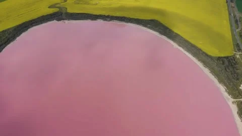  Soft Pink Lake Surface Stock Footage 322825701