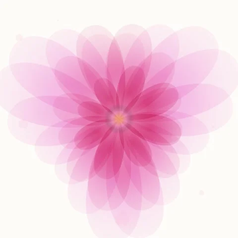Soft Pink Petal Flower Bloom Abstract Overlay Gentle Motion Background Stock Footage 346283913