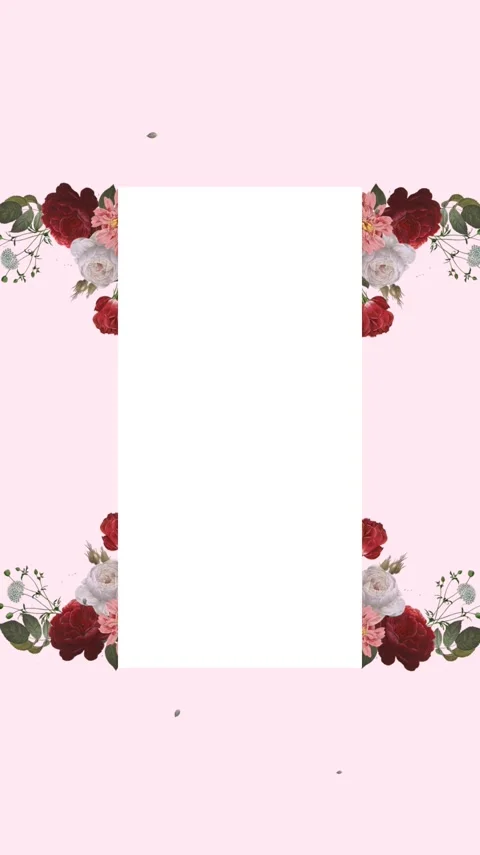 Soft Pink Rose Background 스톡 동영상 270796735