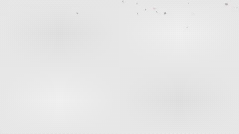 Soft Pink Sakura Flower Overlay Falling Petals Alpha Channel 4K Stock Footage 334988842