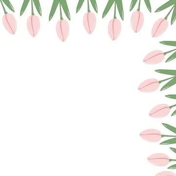 Soft pink Tulips Top Corner frame border Springtime or Womens Day greeting card Stock-Illustration