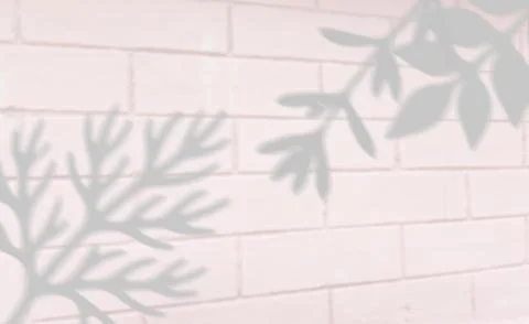Soft plant leaf shadows cast on a light pink brick wall background overlay Stock Illustration