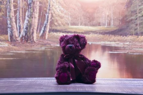 Soft plush bear sits alone on wooden dock Stock Photos