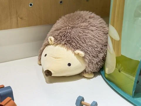 Soft plush hedgehog toy on display. Childhood comfort, playfulness, and cozy  Stock Photos