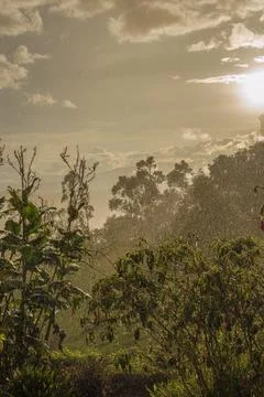A soft rain falling over the garden of a farm at sunset, in the eastern Andea Stock Photos