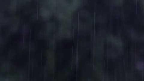 Soft rain shower gently falling on lush greenery in an outdoor setting Stock Footage 314989541
