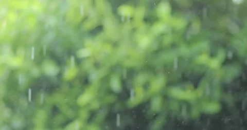 Soft rainfall falling against a blurred green nature background. Calm, fres.. Stock Footage 341923862