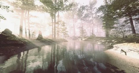 Soft rays shine through trees by a calm river in a peaceful forest 스톡 일러스트