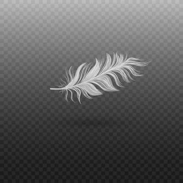 Soft realistic white bird feather with fluff. Stock Illustration