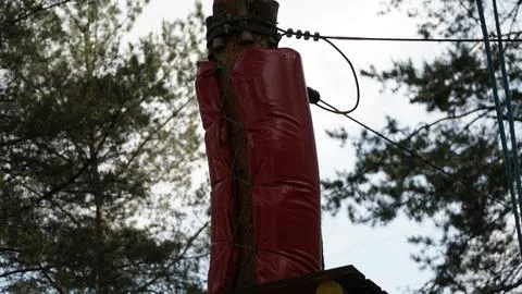 Soft Red Bumper Leaned Against Tree Trunk in Adventure Park, Visible Platform Stock Photos