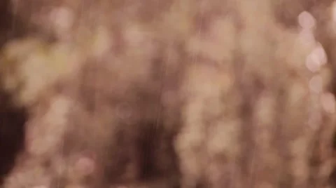 Soft red Rain bokeh background Stock Footage 66112685