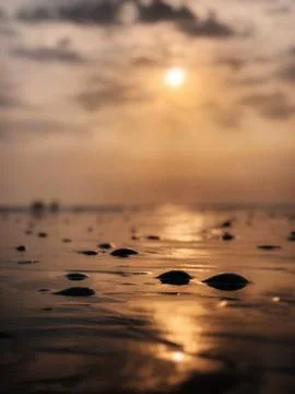 A soft reflection of the sun Stock Photos