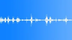 Soft Riverside AmbianceSound Effect