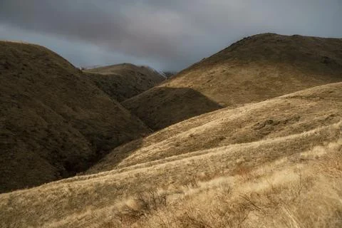 Soft Rolling Grassy Hills in Fall Stock Photos
