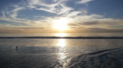 Soft rolling waves off of the pacific ocean at sunset with small bird 스톡 동영상 33718749