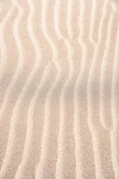 Soft sand patterns create mesmerizing waves in a sunlit desert landscape Stock Photos