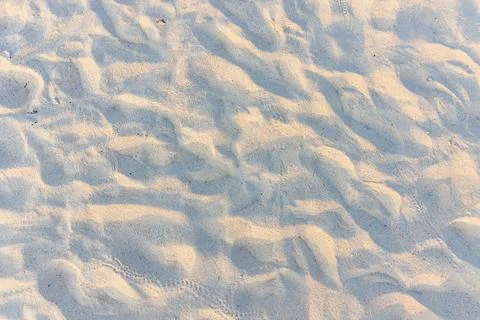 Soft sand ripples glow under gentle sunlight Stock Photos