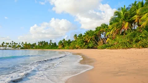 Soft sea waves on an Indian beach under a blue sky on a sunny summer day. Stock Footage 309548533