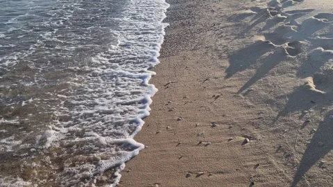 Soft sea waves touching sandy beach under warm evening sunlight Stock Footage 319932609