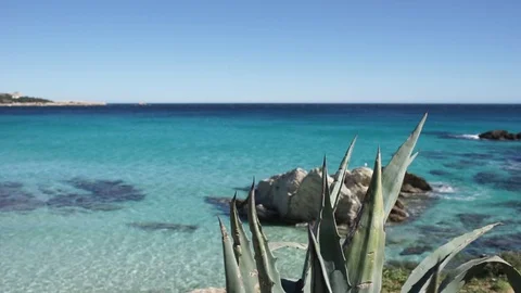 Soft sea waves with turquoise colored water and tropical plant Stock Footage 100682180