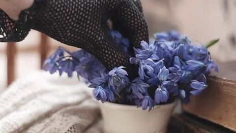 Soft selective focus, cinematic shot. spring blue flowers vintage still life Stock Footage 184319282
