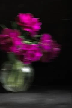 Soft selective focus, photo in motion, bouquet of dark red lilac tulips in glass Stock Photos