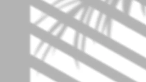 Soft shadow of window blinds and palm leaves on white wall background. Stock Footage 340880202