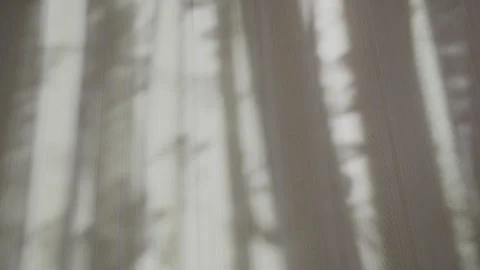 Soft shadows casting dynamic abstract patterns across neutral interior surface Stock Footage 298374850