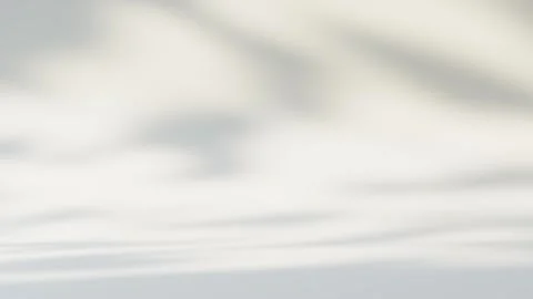 Soft shadows from foliage moving over white wall in seamless loop calm Stock Footage 335745704