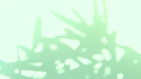 Soft shadows move slowly on green light wall, a romantic abstract pattern, ba Stock Footage 213350661
