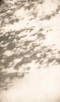 Soft shadows of tree branches and leaves fall across a lightly textured bei.. Stock Photos