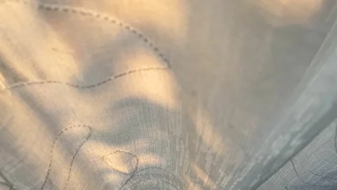 Soft, sheer curtains gently illuminated by warm morning sunlight Stock Footage 331611775