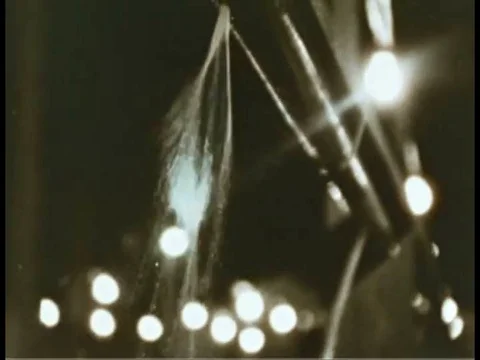 Soft-shell crabs go through a processing plant and a sardine fisherman examinesƒ Video stock 75267070