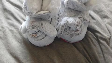 Soft slippers for winter Stock Photos