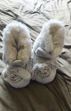 Soft slippers for winter Stock Photos