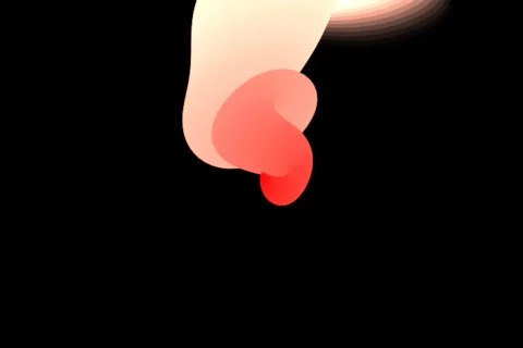 Soft snail - digital animation Stock Footage 114188