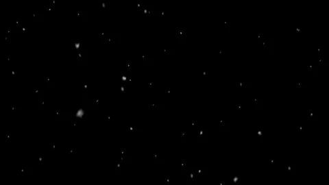 Soft Snow Fall Loop - Medium Shot Pre-render Video stock 82986184