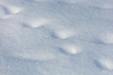 Soft snow forms gentle, rounded imprints. Snow blankets ground with quiet, .. 스톡 사진