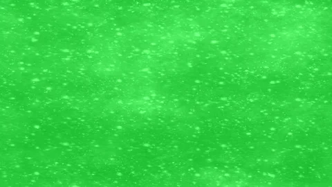 Soft snowfall particles on green screen Stock Footage 224761911